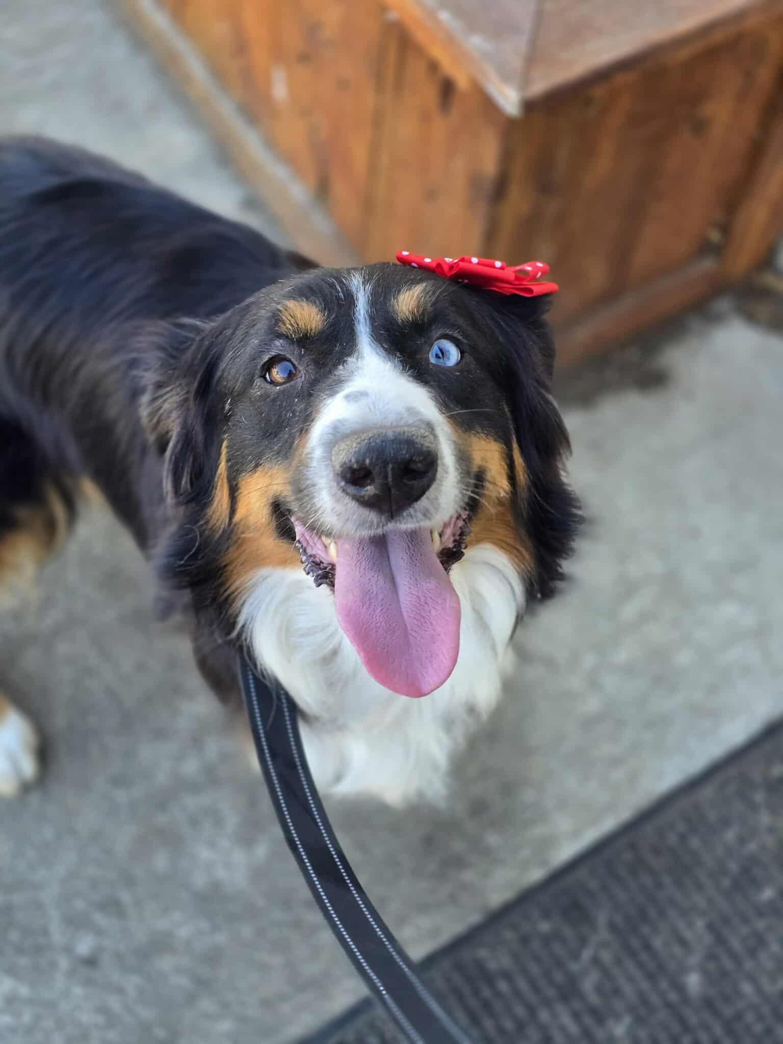 Maggie