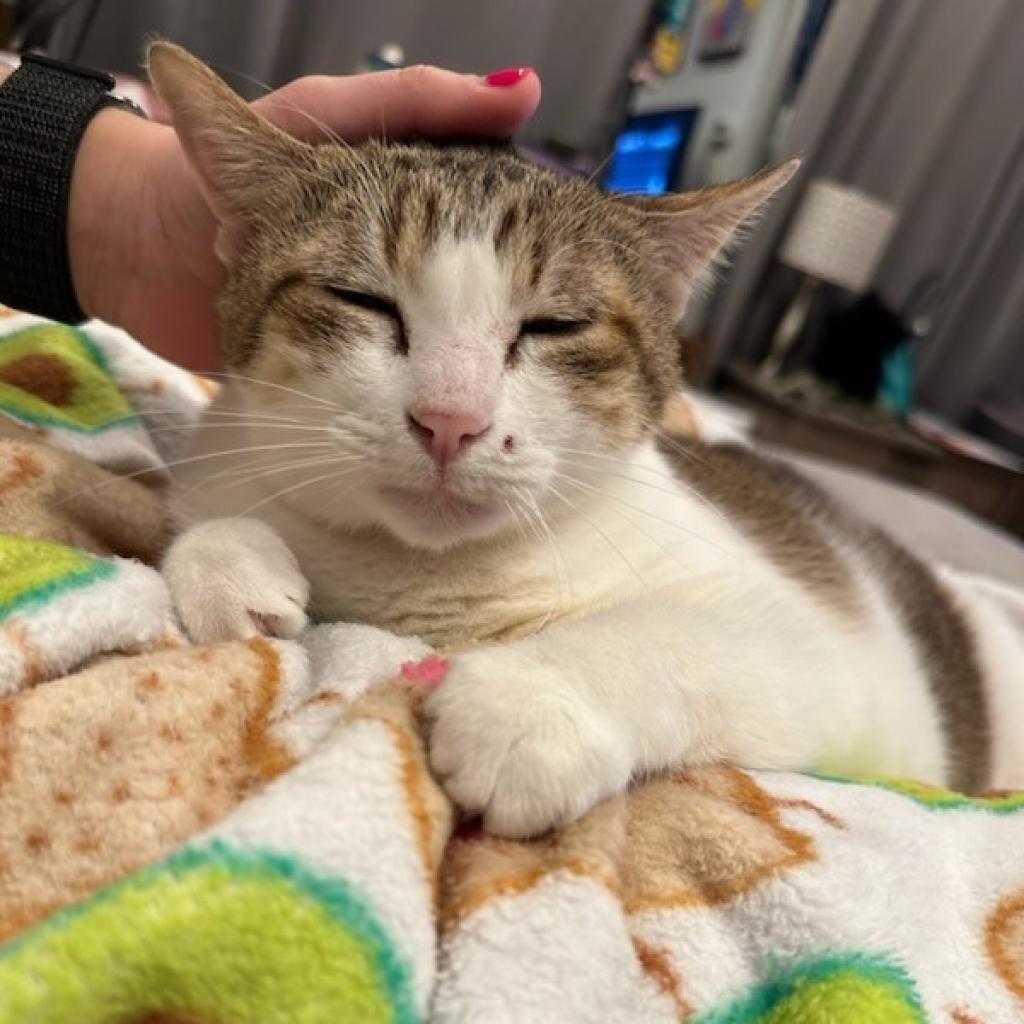 Yuki — thumbnail 3