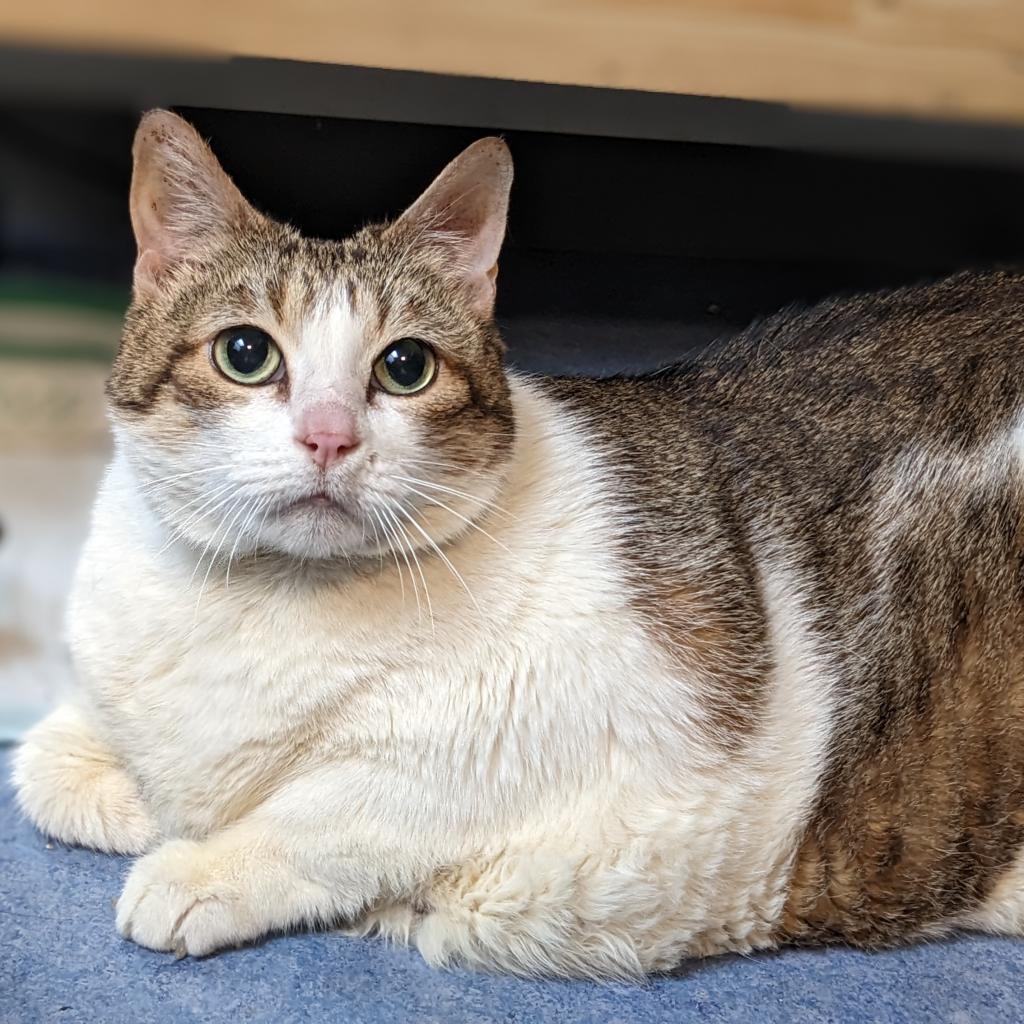 Yuki — thumbnail 5