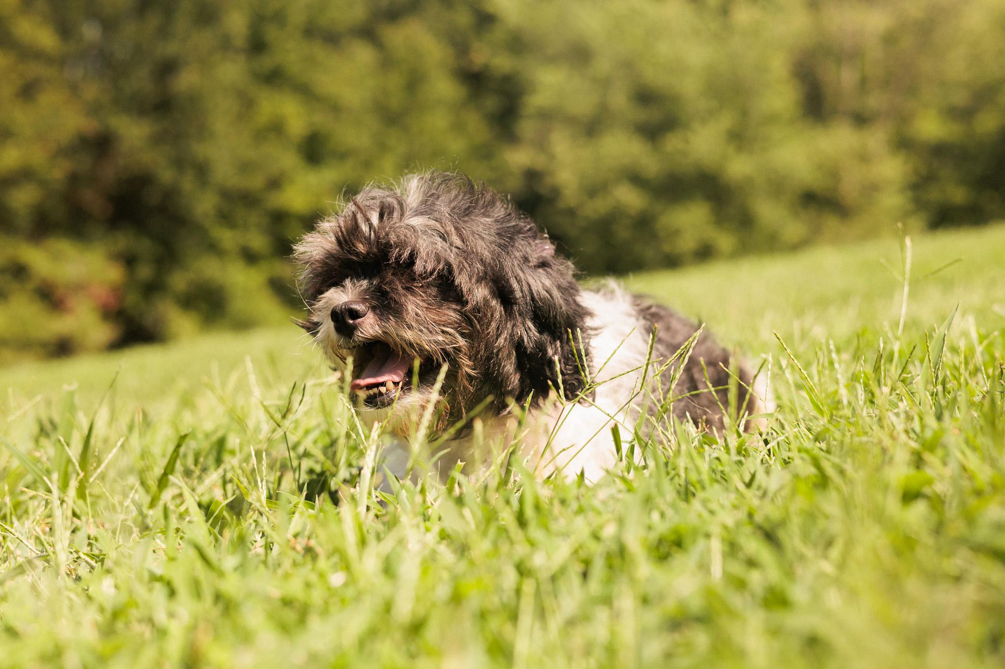 Precious thumbnail 2