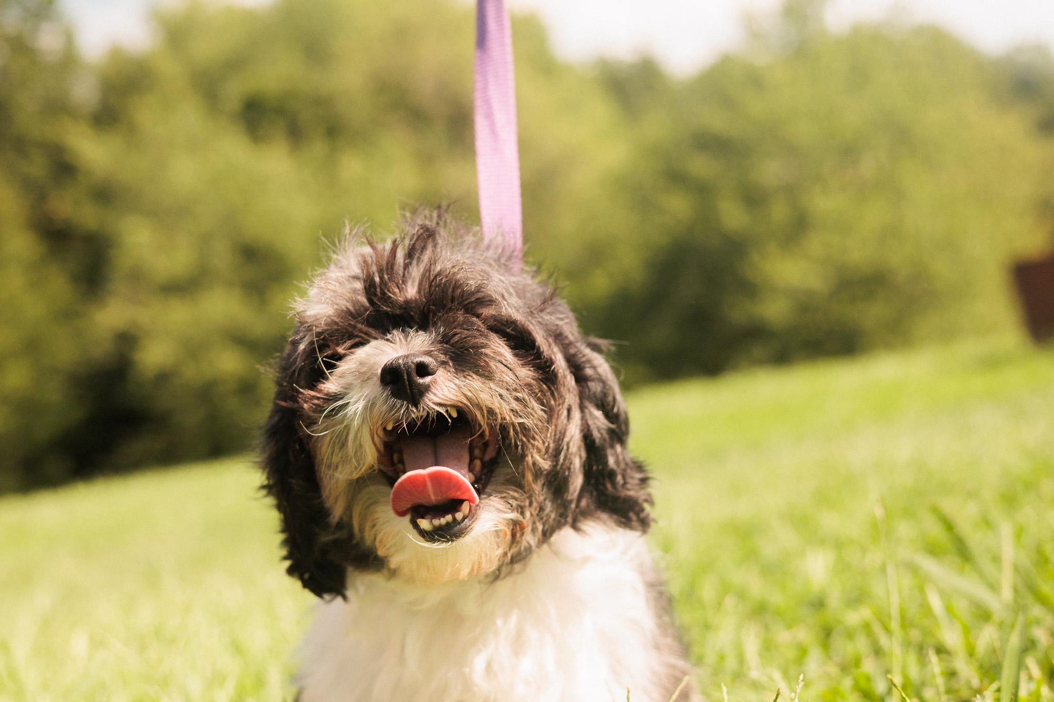 Precious thumbnail 3