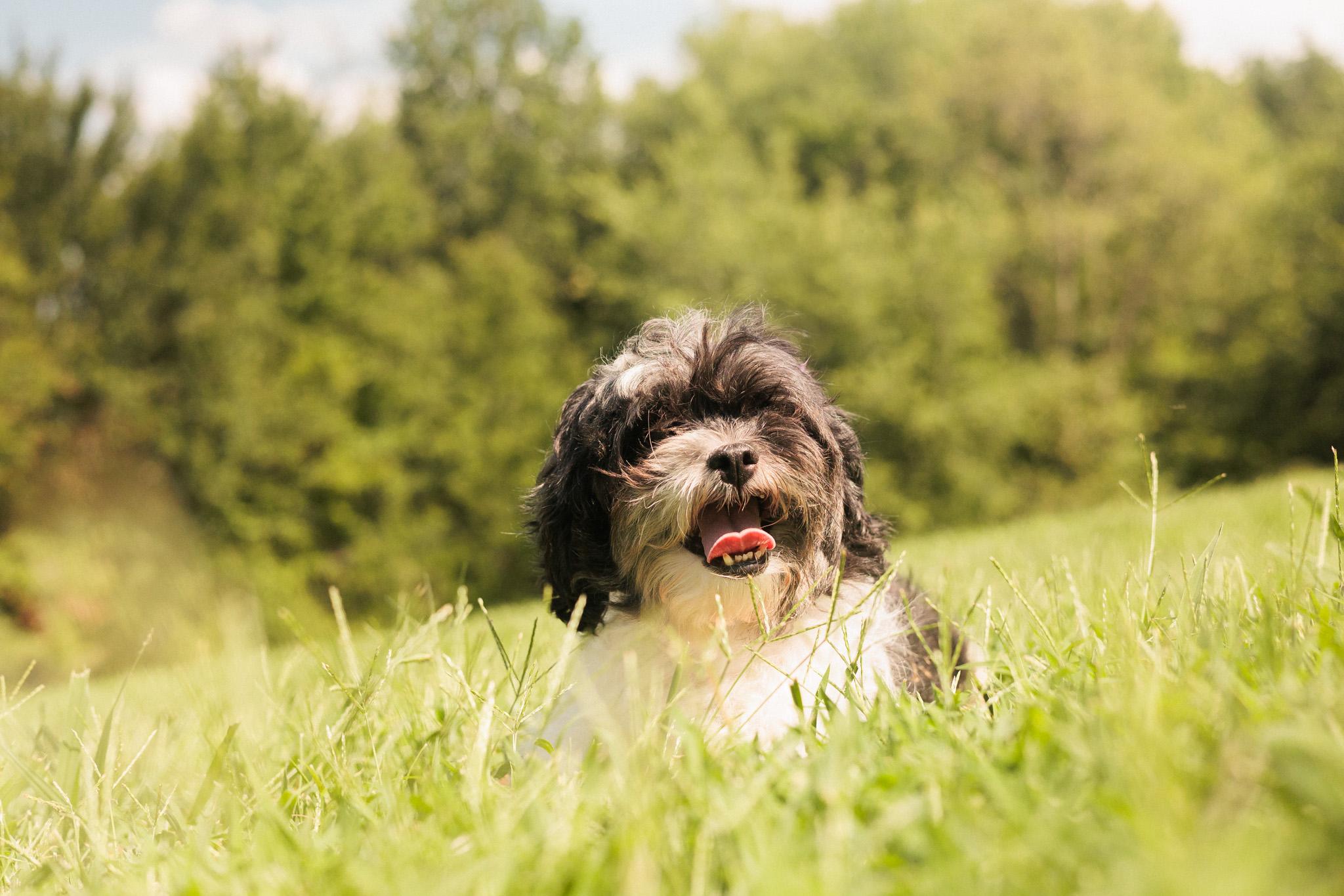 Precious thumbnail 5