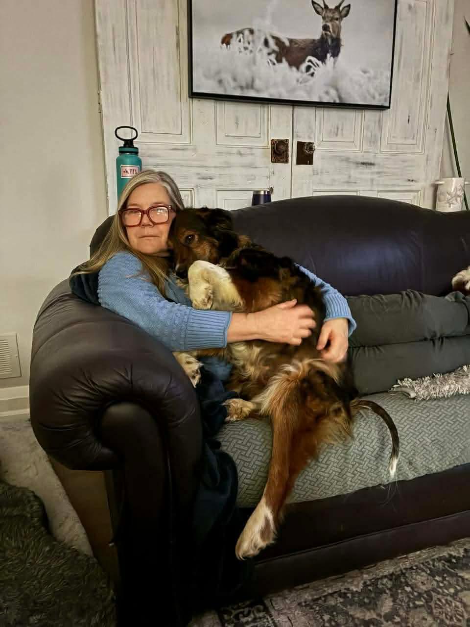 Rooby, a ADOPTABLE mixed breed in Port Colborne , ON image 3/6