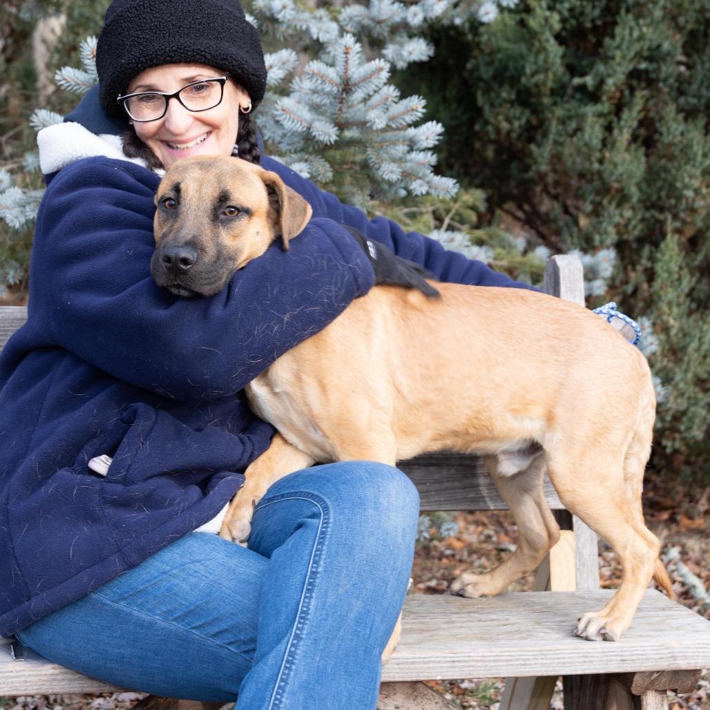 Enlarge BLUE., a Adoptable mixed breed in Atco, NJ image 4/6