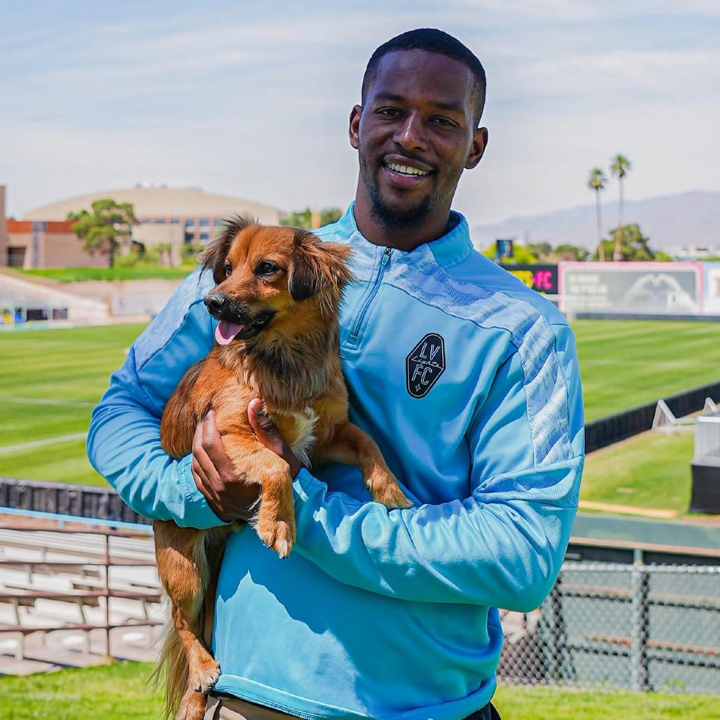 Enlarge Cooper, a Adoptable mixed breed in Las Vegas, NV image 6/6