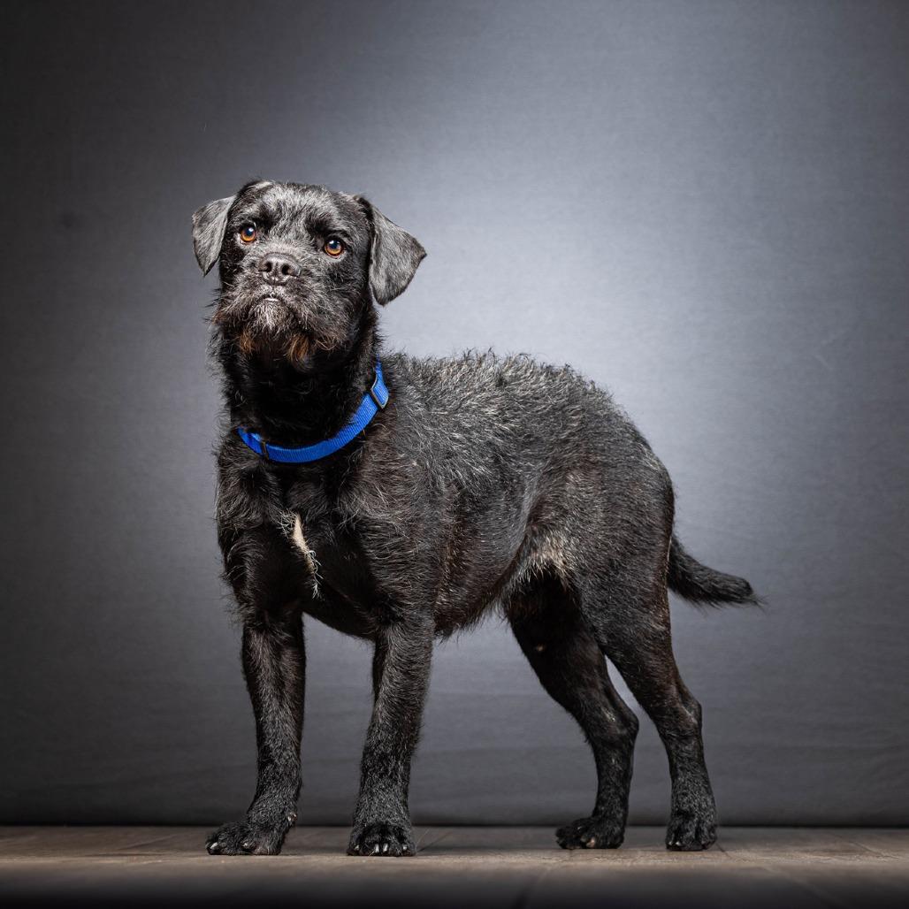 Popcorn — thumbnail 3