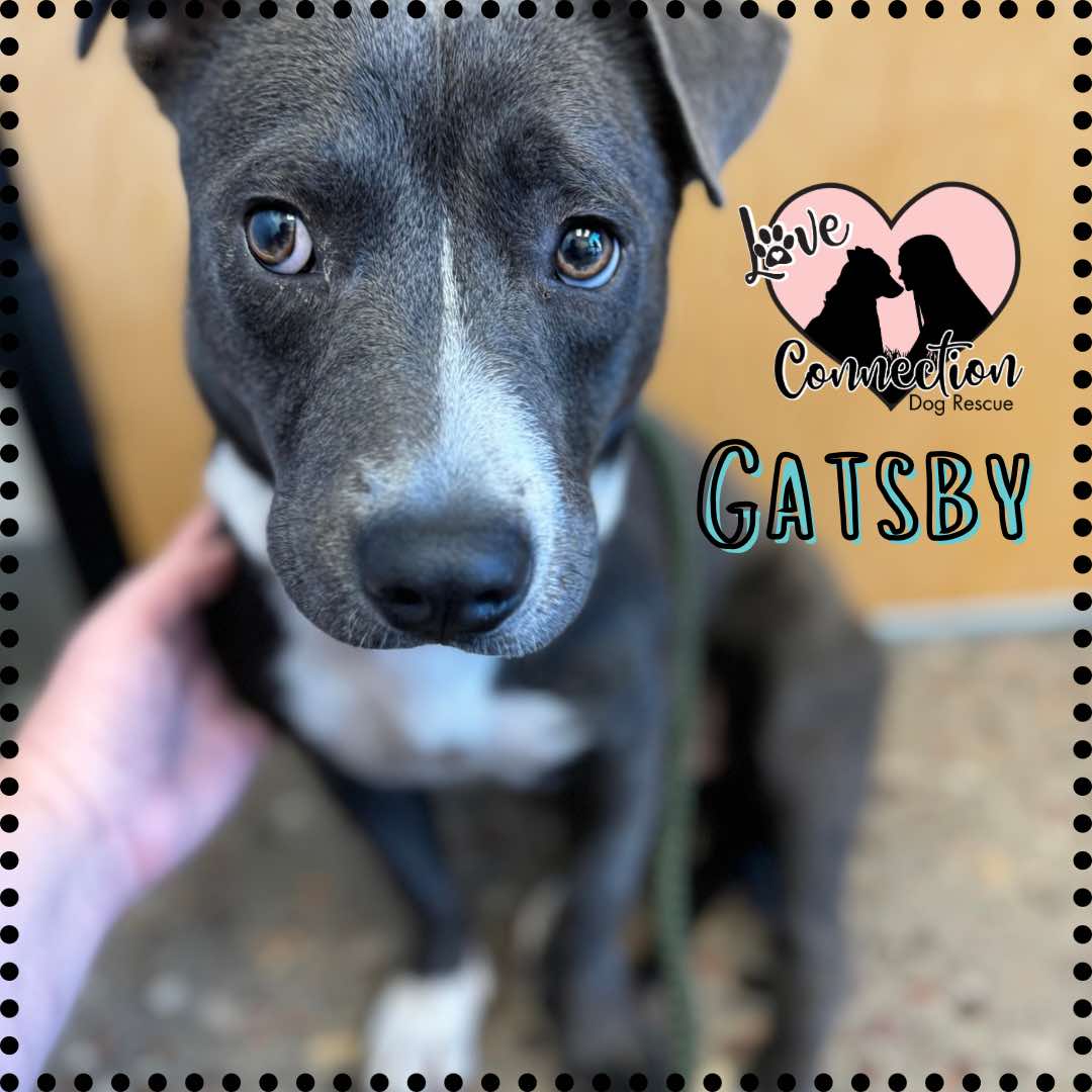 Gatsby photo 3