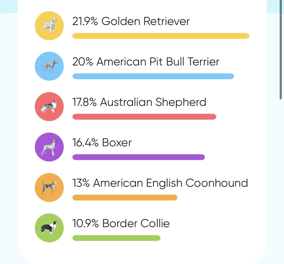 Petree, a Adoptable mixed breed in SHADE GAP, PA image 4/5
