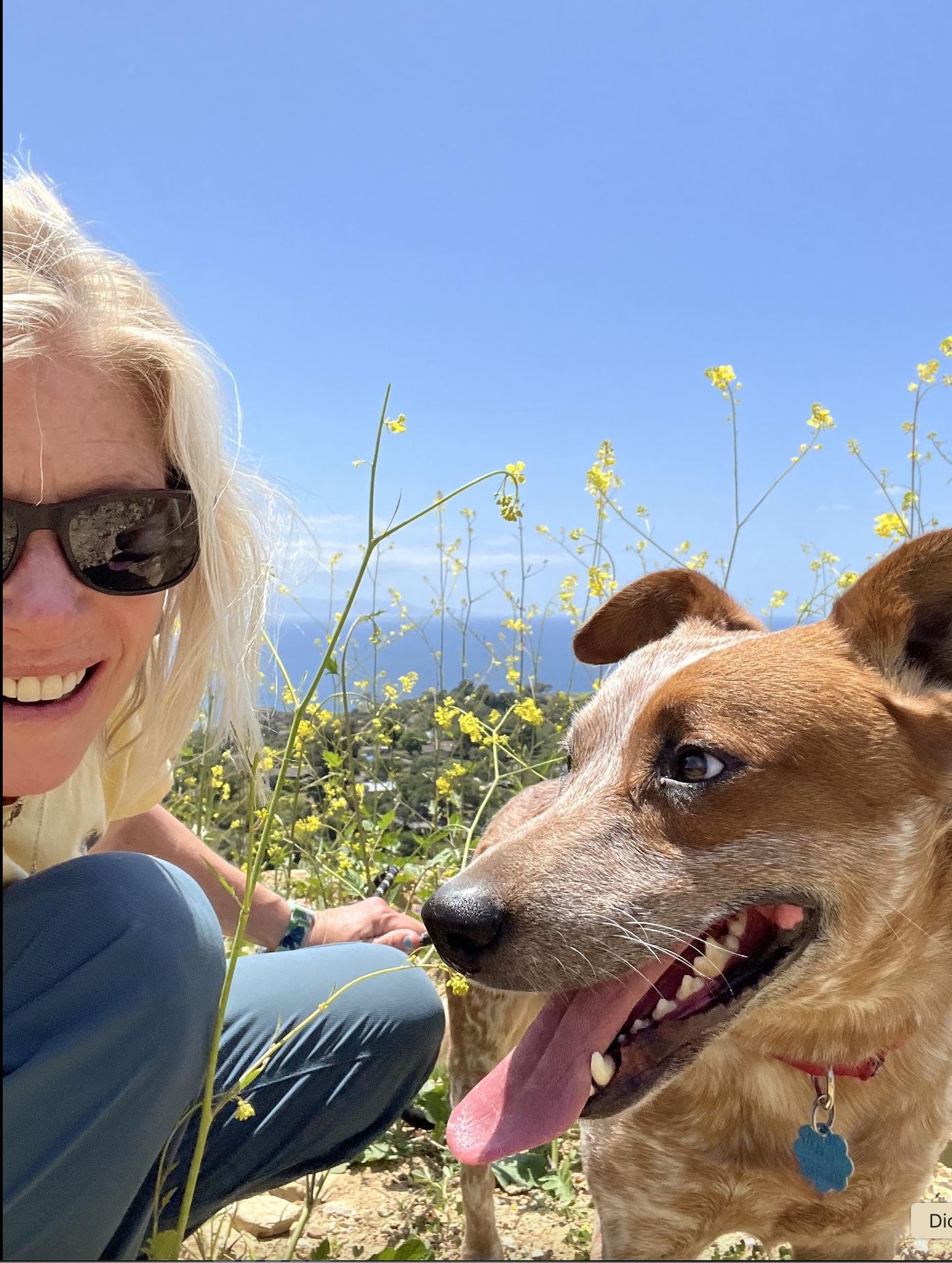 Chester, a Adoptable mixed breed in Rancho Palos Verdes, CA image 5/6