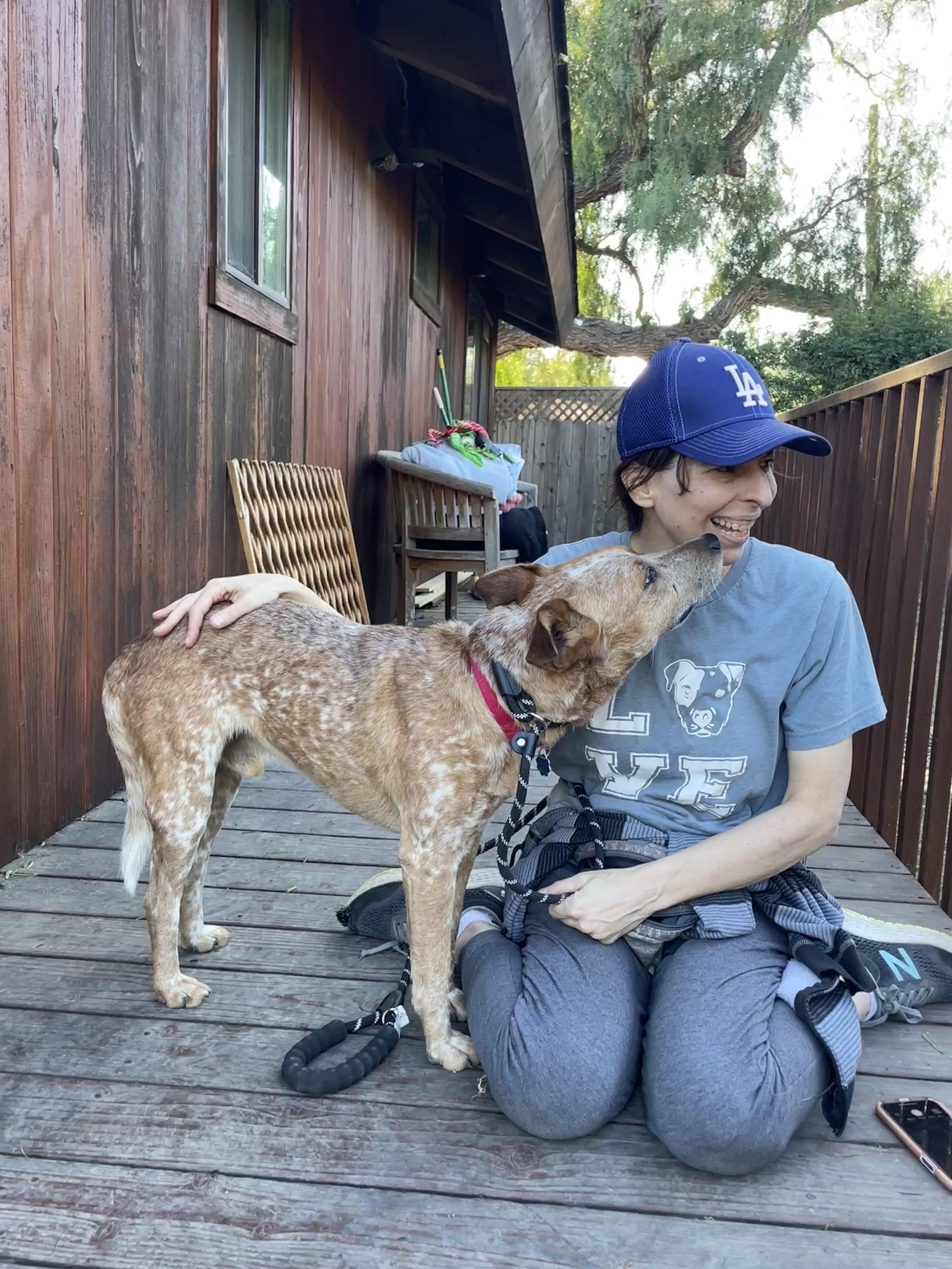 Chester, a Adoptable mixed breed in Rancho Palos Verdes, CA image 2/6