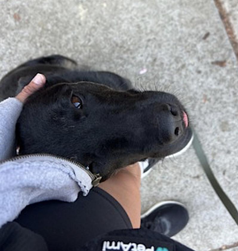 Zeus — thumbnail 2