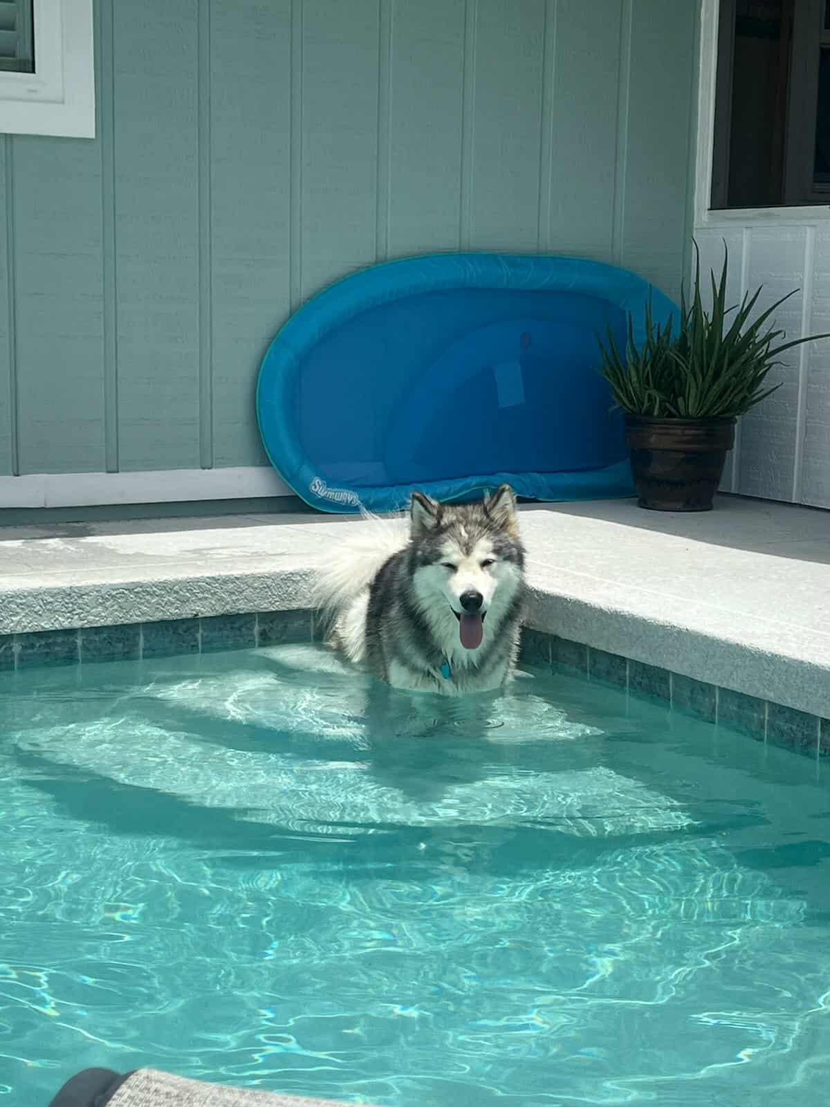 Toby