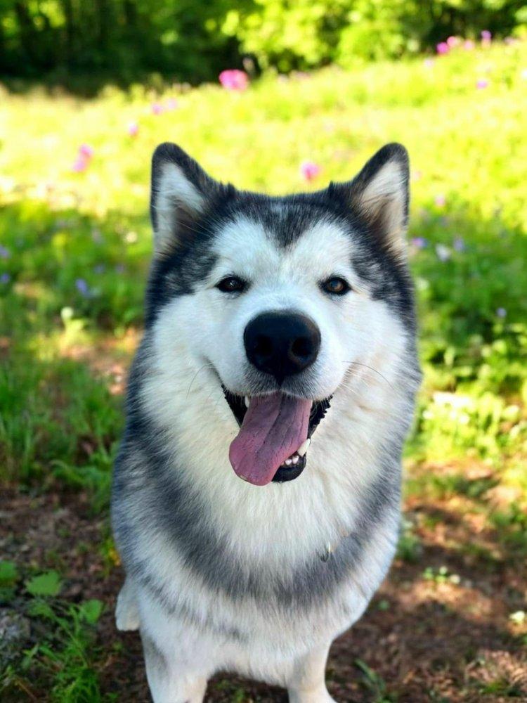 Toby