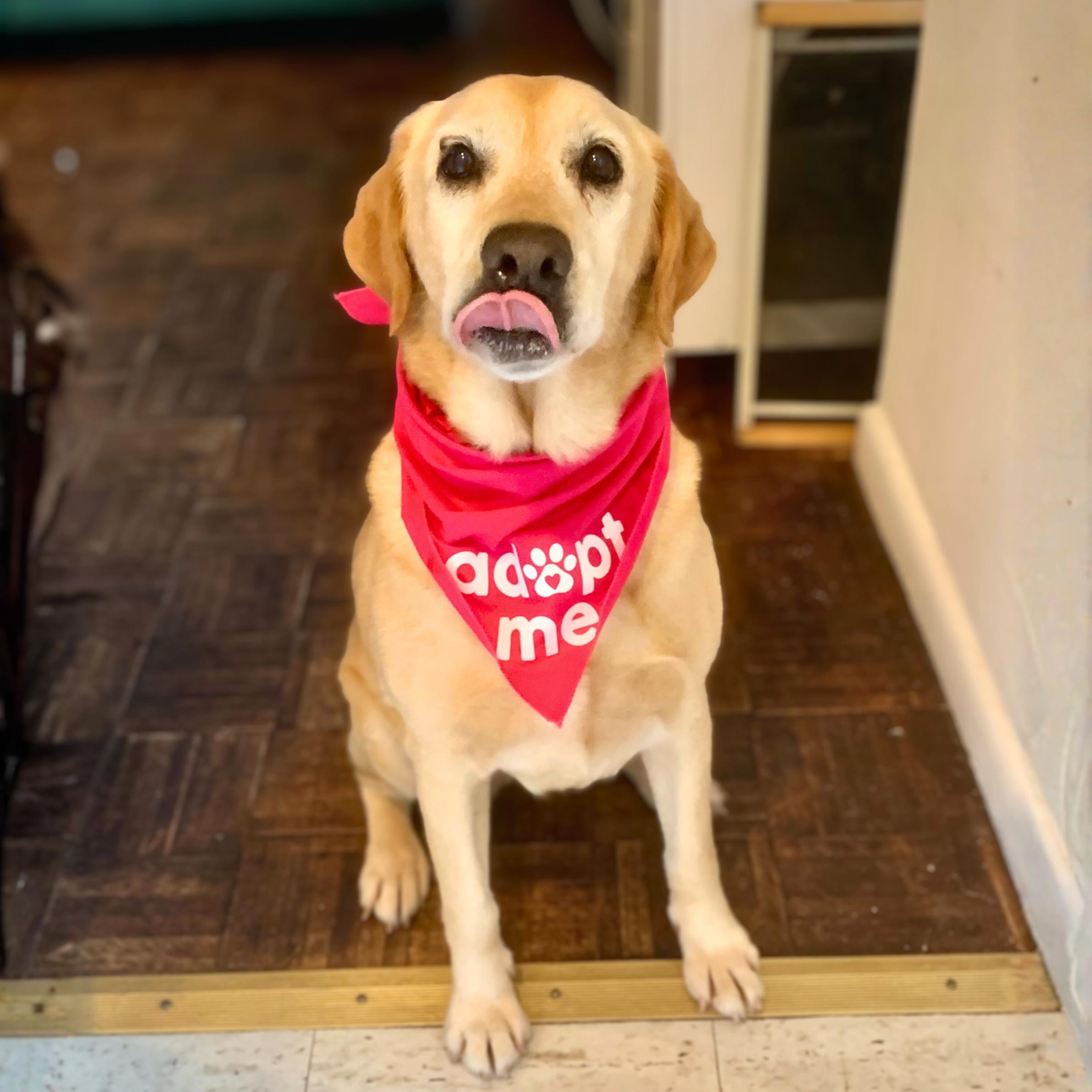 Fleece Blanket — thumbnail 4