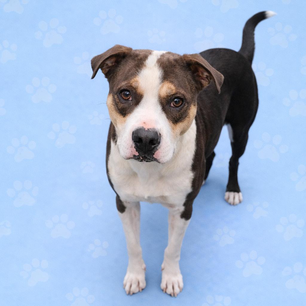 Marty — thumbnail 2