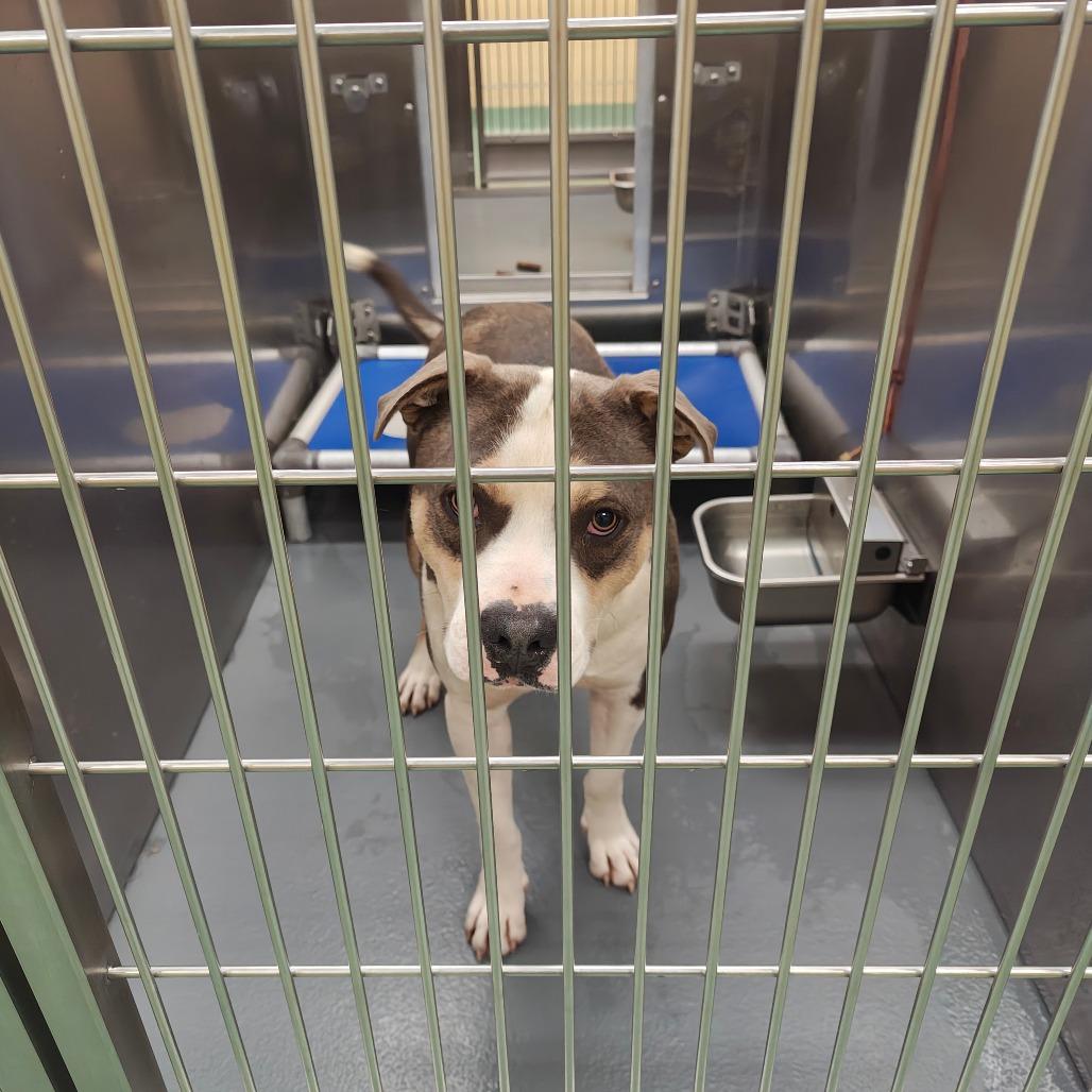 Marty — thumbnail 3