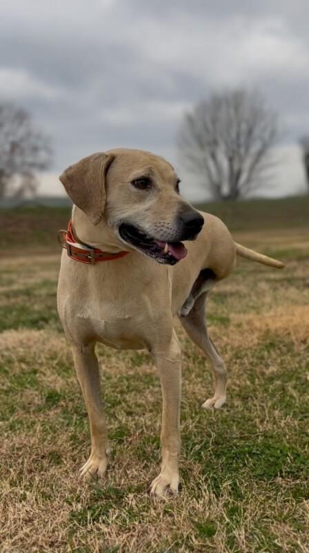 Lenny Luhrs thumbnail 5