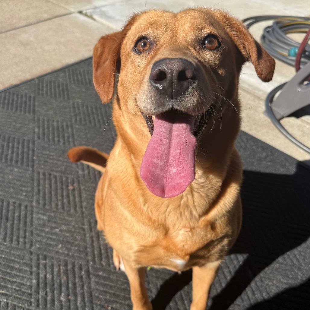 Lucy photo