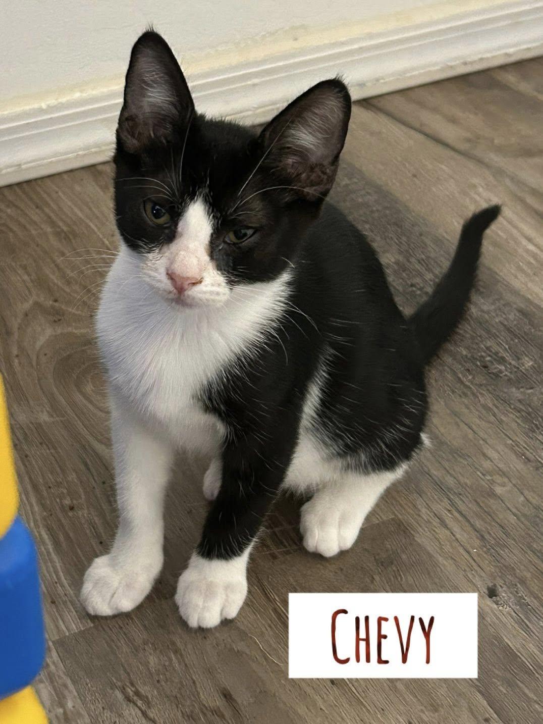 Chevy