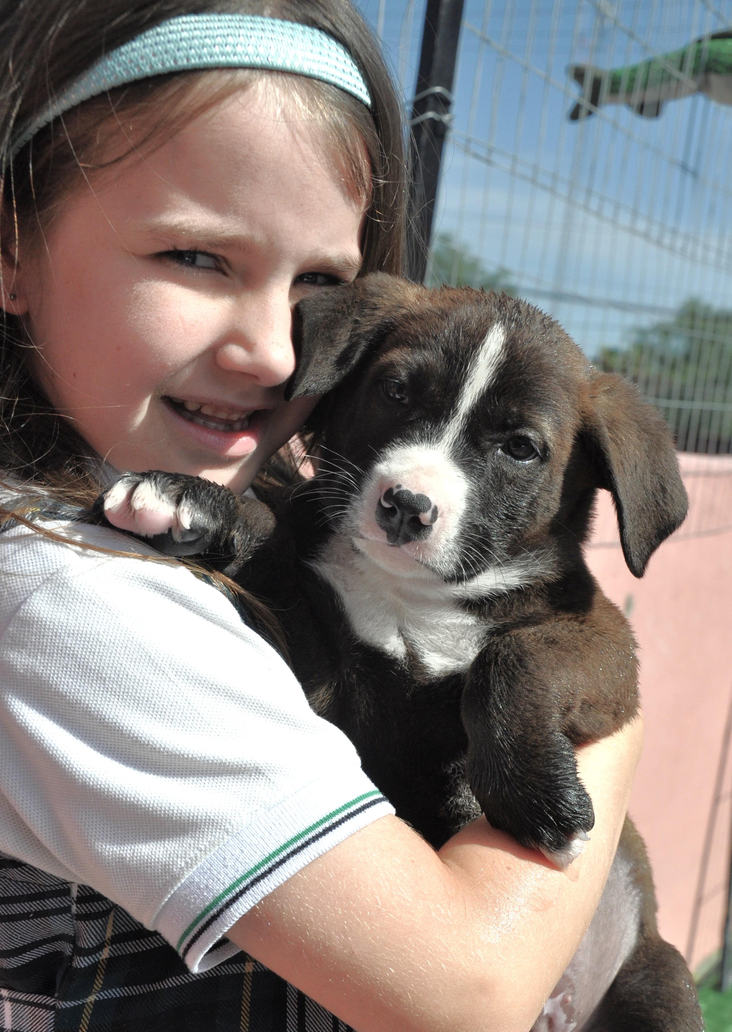 Enlarge Ozzy, a Adopted mixed breed in Austin, TX image 3/5
