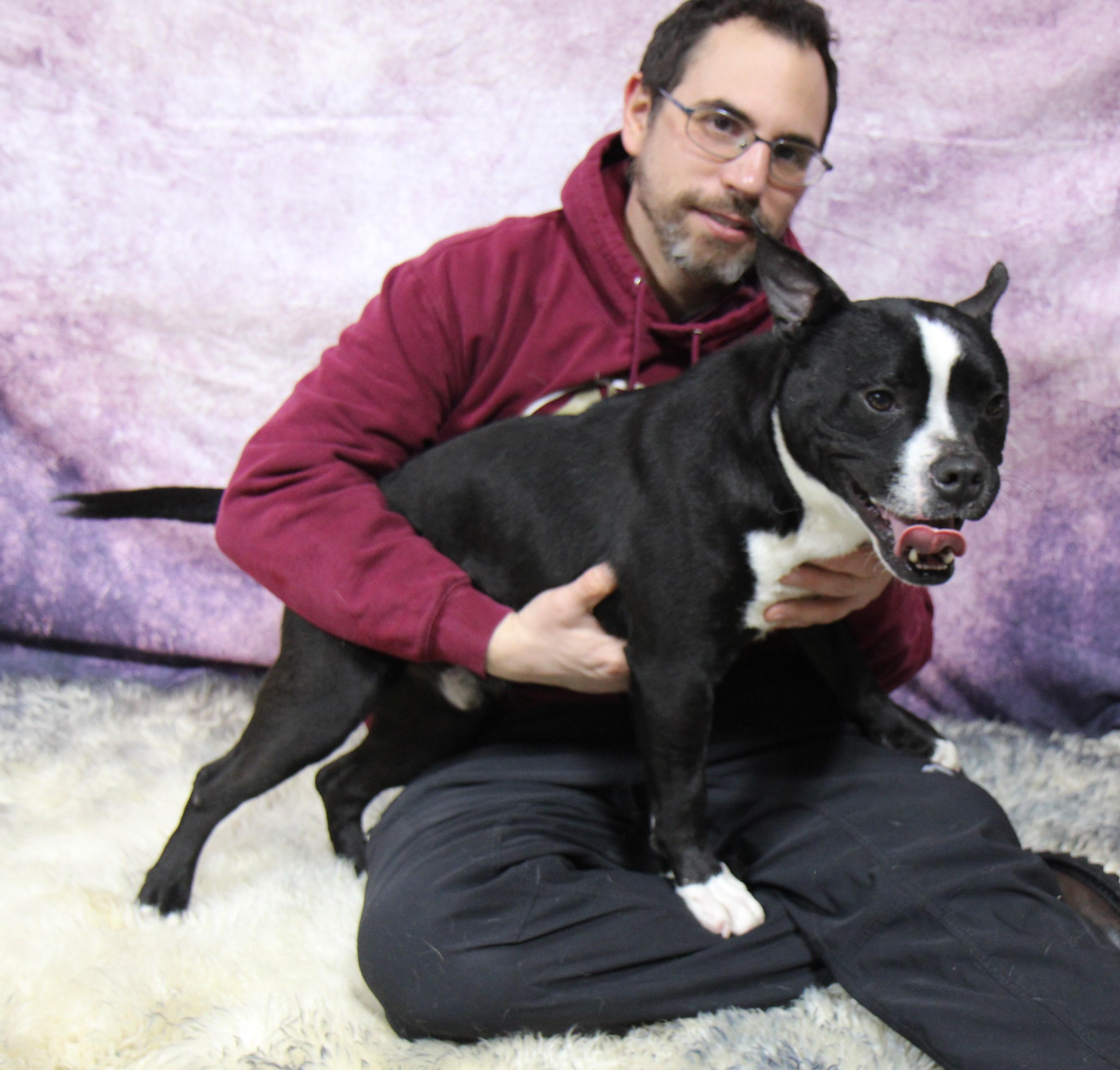 Enlarge BUDDY, a Adoptable Mixed Breed in Plain City, OH image 5/6