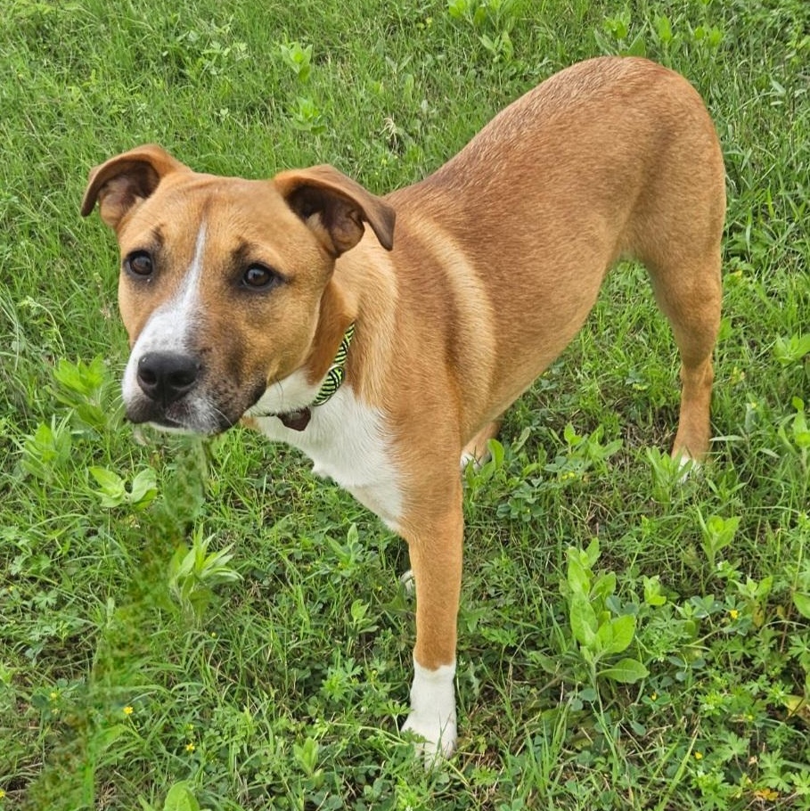 Sissy — thumbnail 2