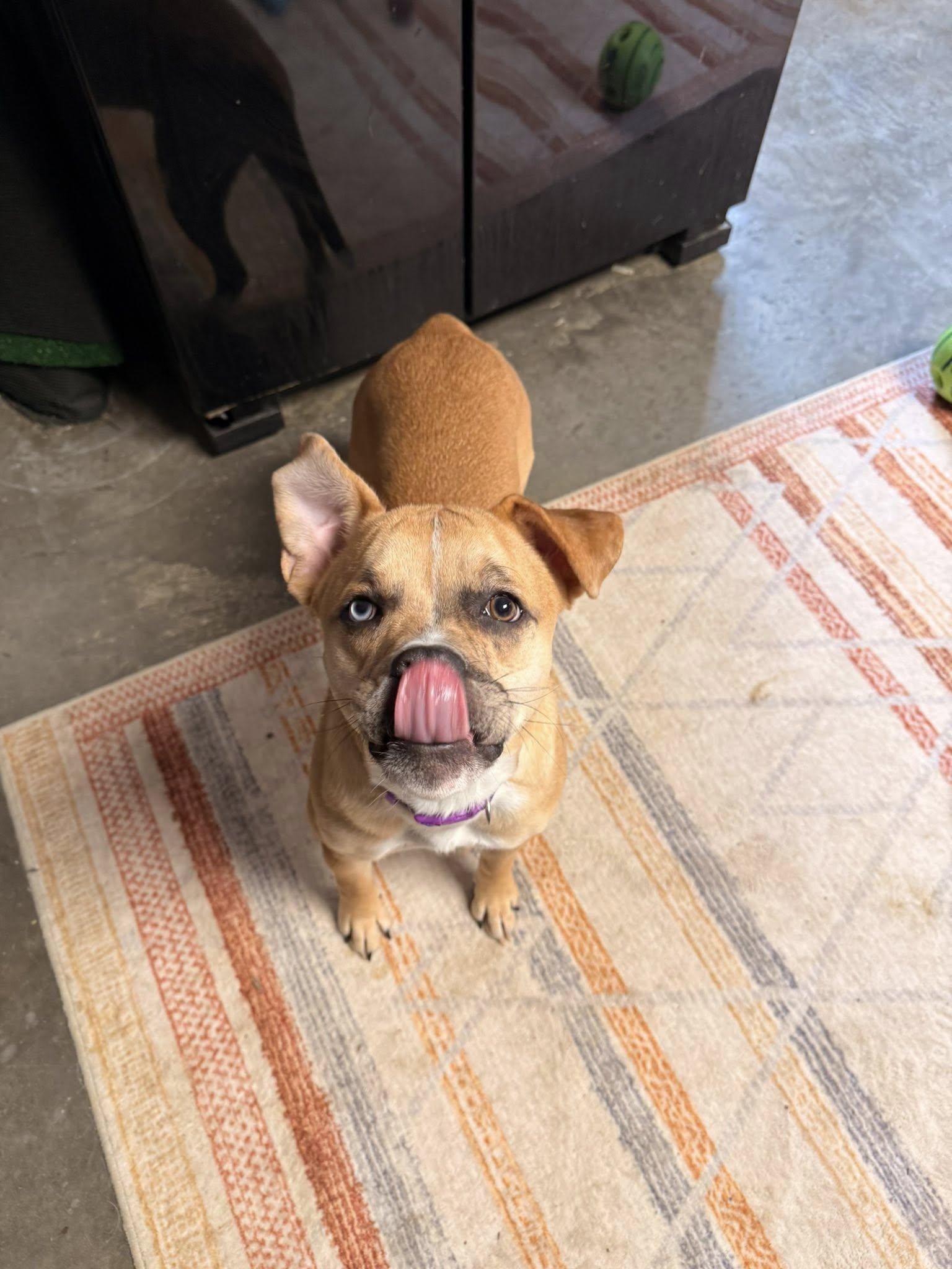 Moira — thumbnail 4