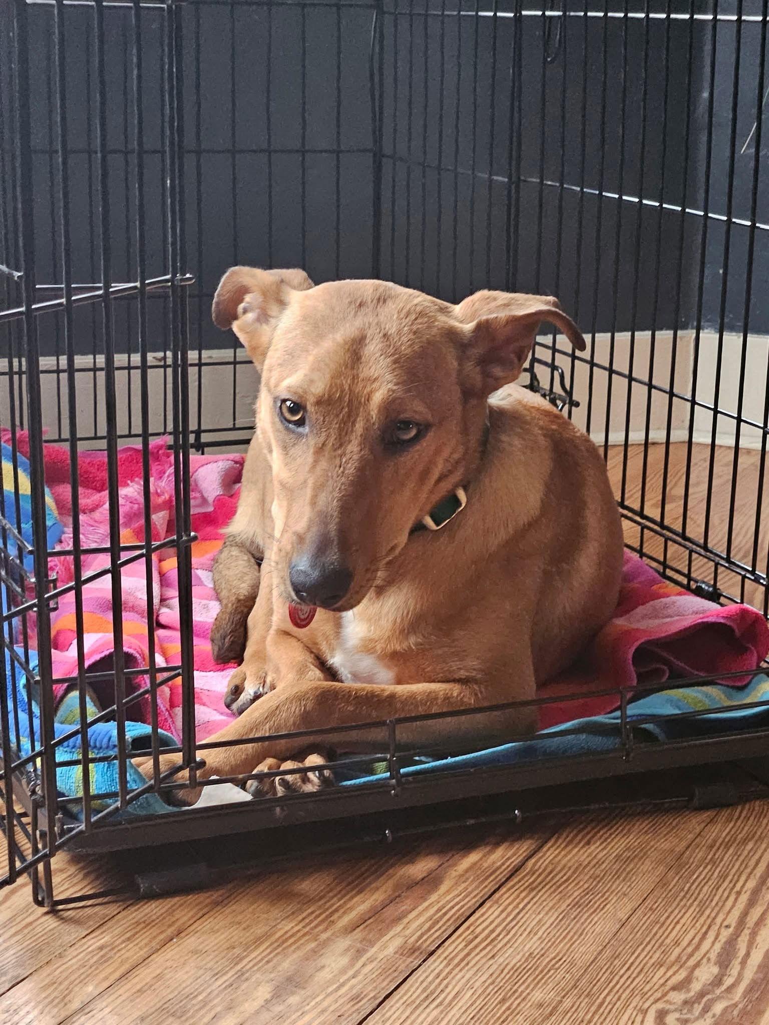 Florence Nightingale Local thumbnail 2