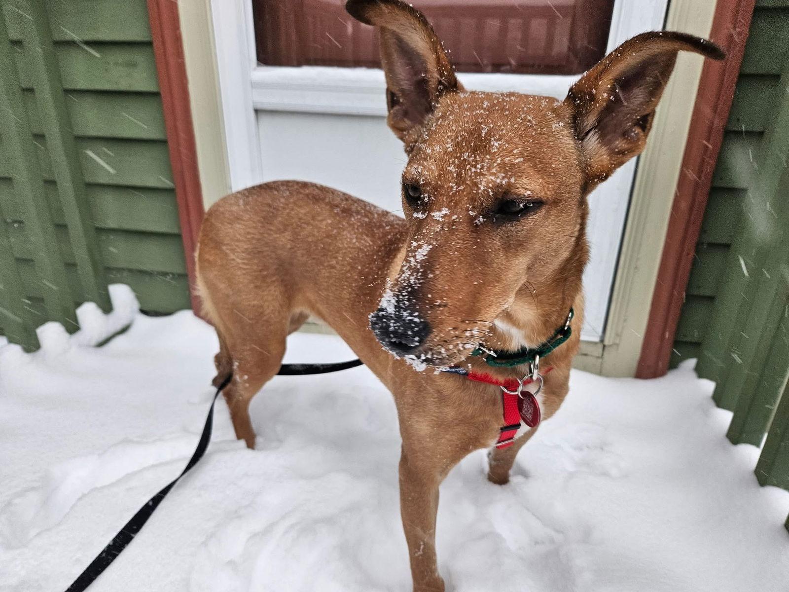 Florence Nightingale Local thumbnail 3