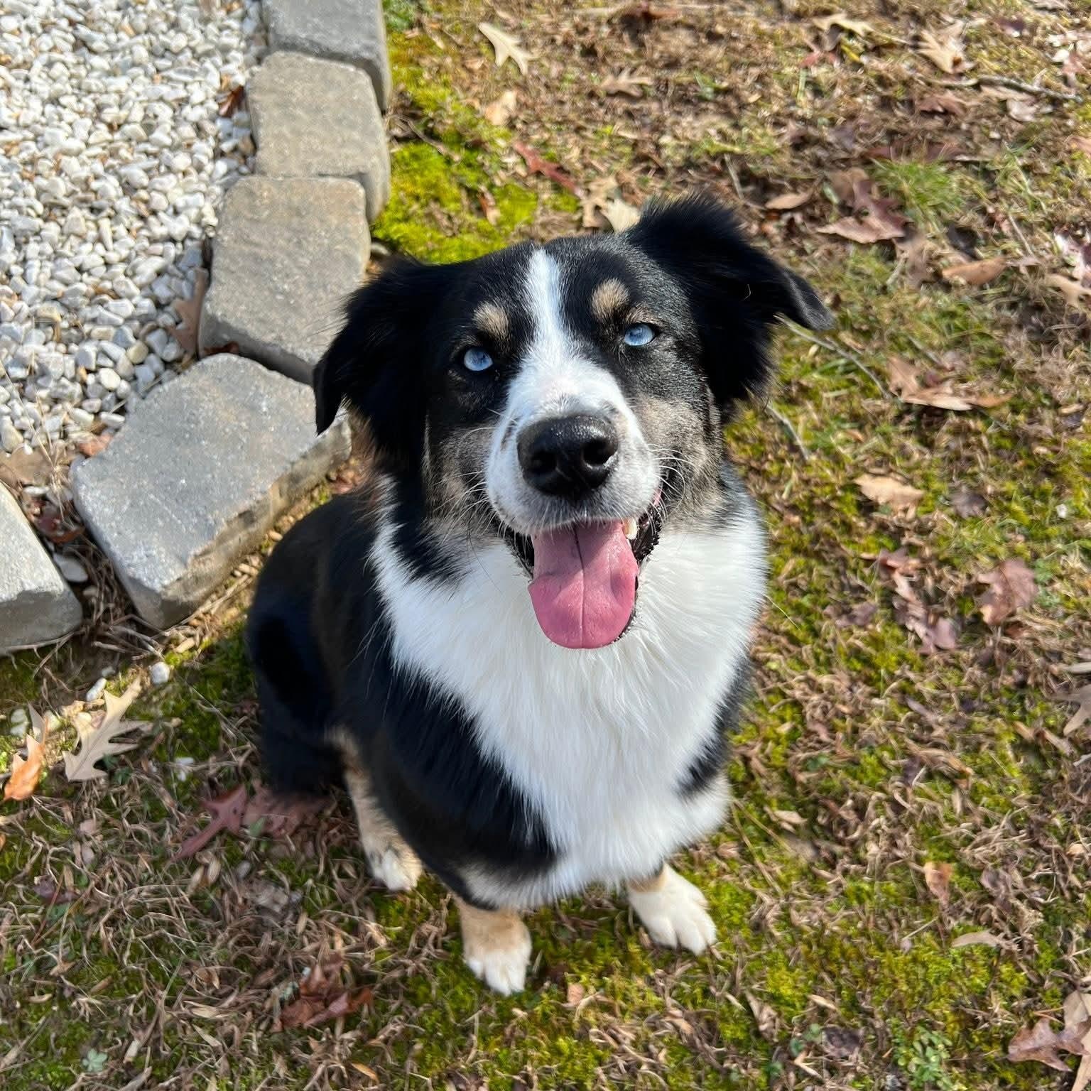 Tuck, Adult Male unknown