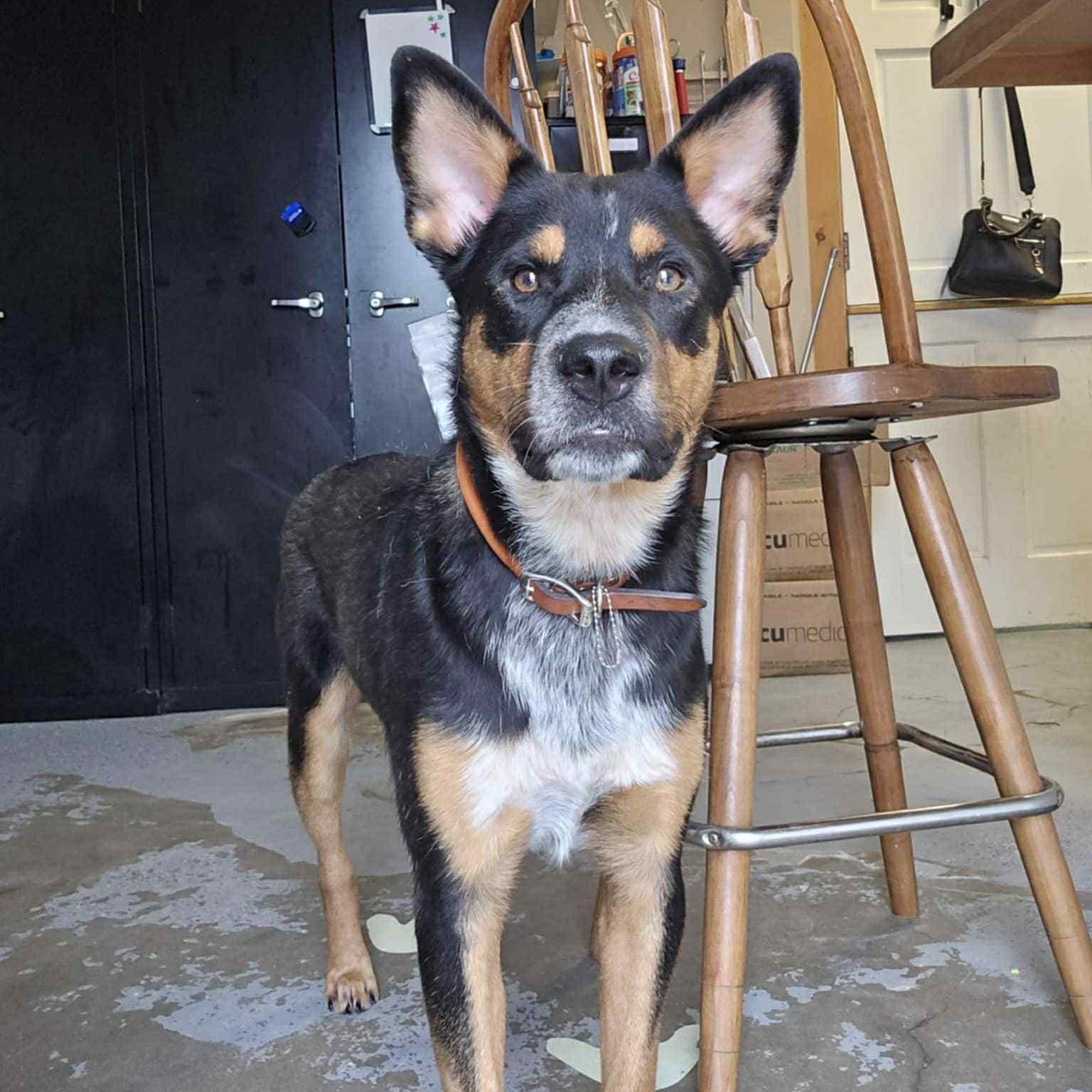 Ferris