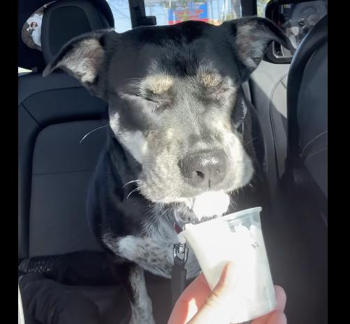 Glow : Sweet and Submissive Girl — thumbnail 5