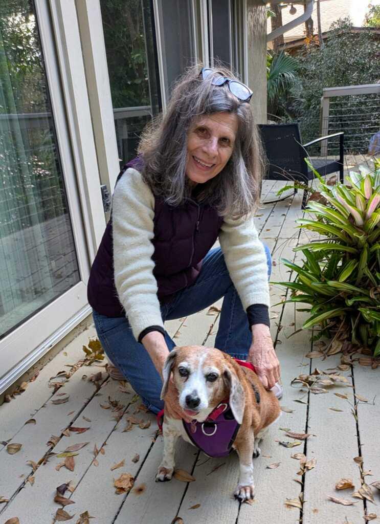 Enlarge Rosie V, a Adopted Beagle in Dunnellon, FL image 2/3