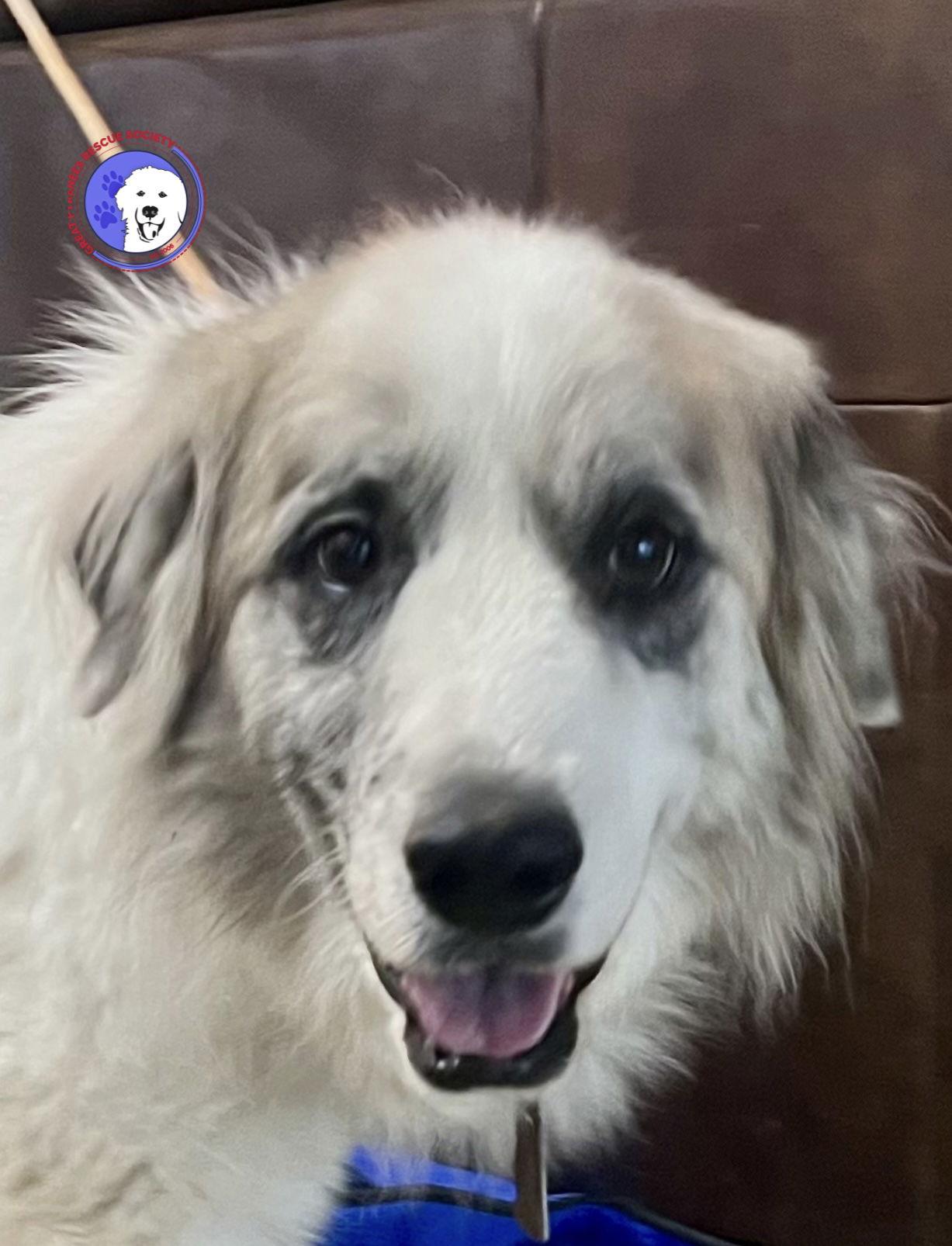 Tucker — thumbnail 7