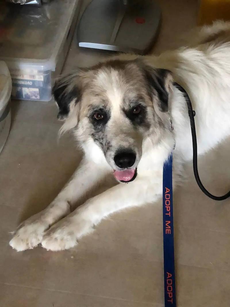 Tucker — thumbnail 10