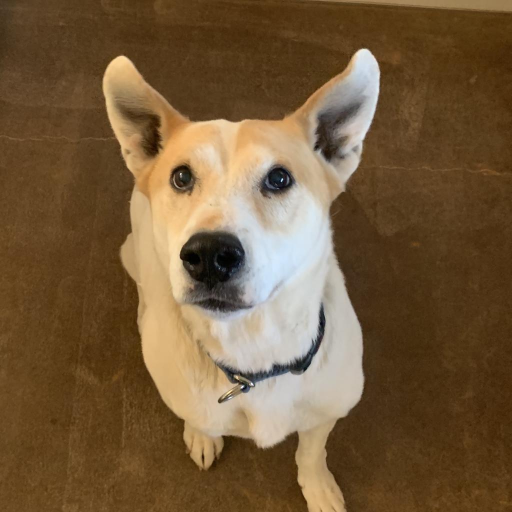 Elton — thumbnail 2