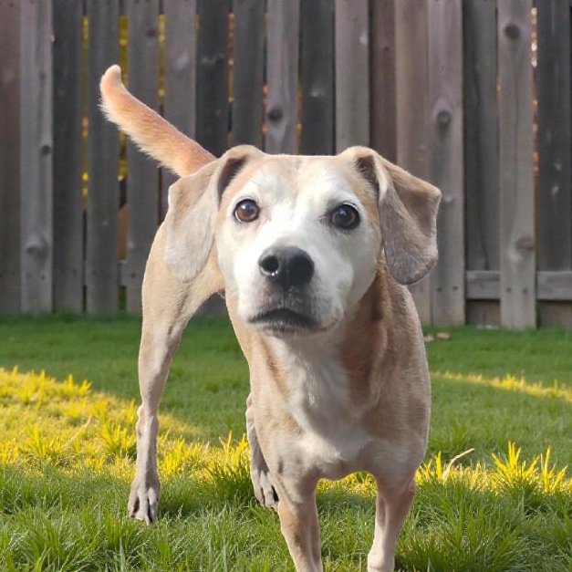 Carly — thumbnail 2