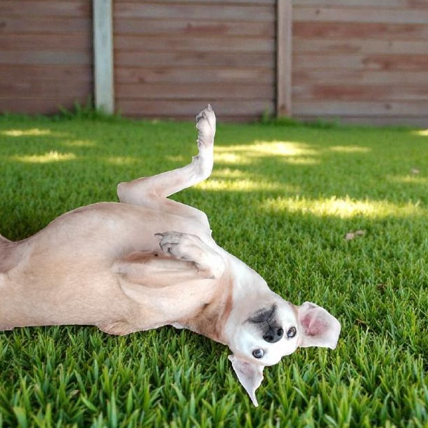 Carly — thumbnail 3