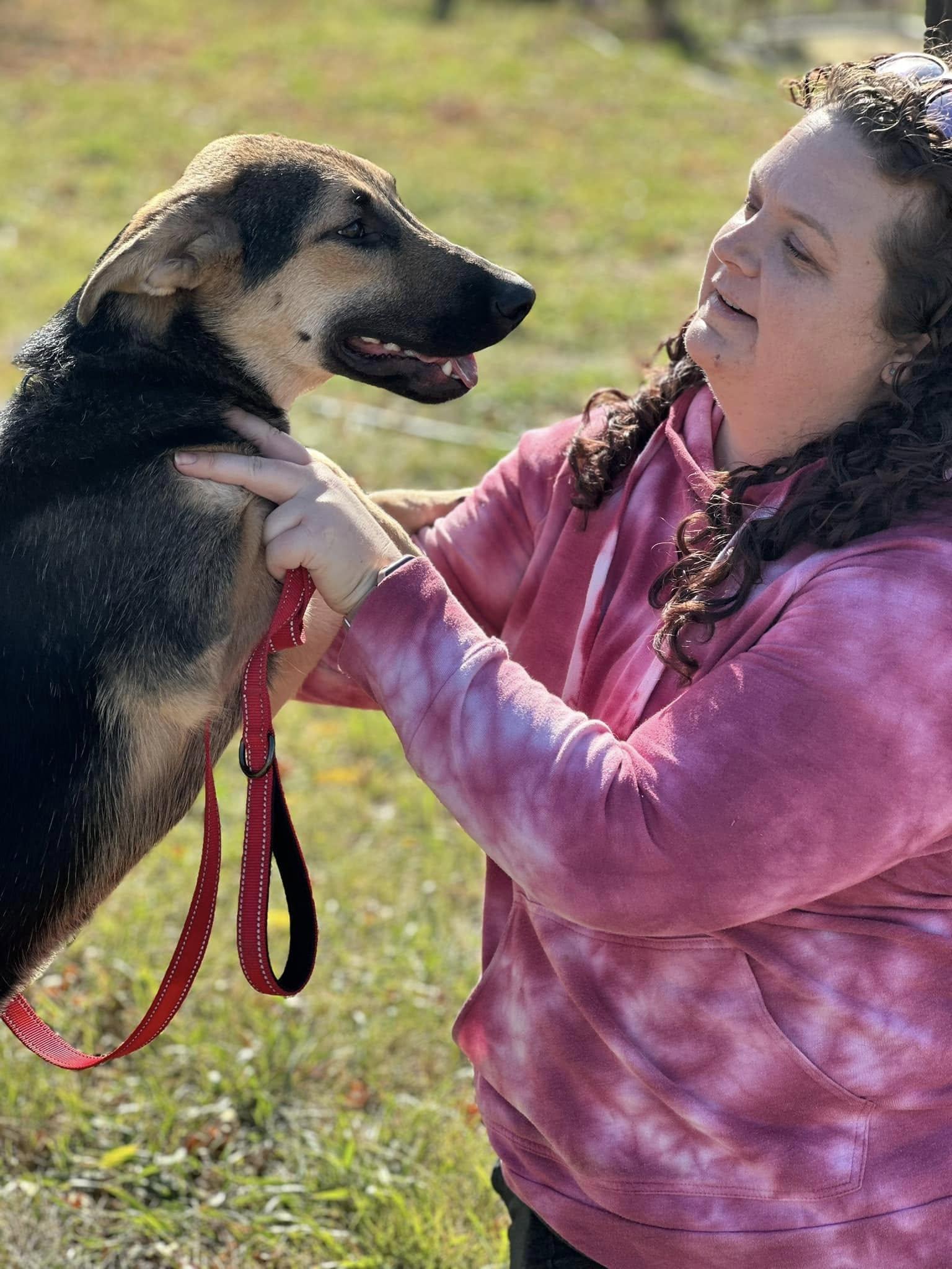 Enlarge Lexus, a Adoptable mixed breed in Lakeville, MN image 2/4