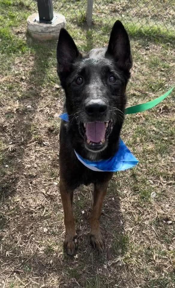 Ramsey Located In Tx thumbnail 2