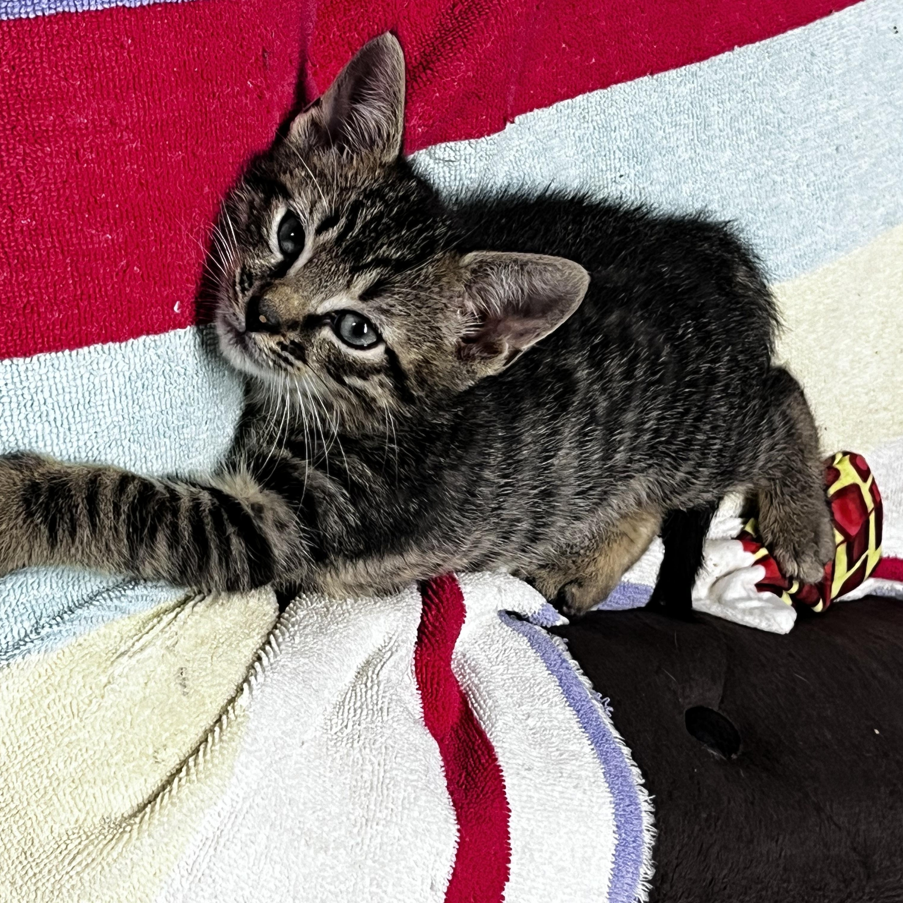 Eddie photo 4
