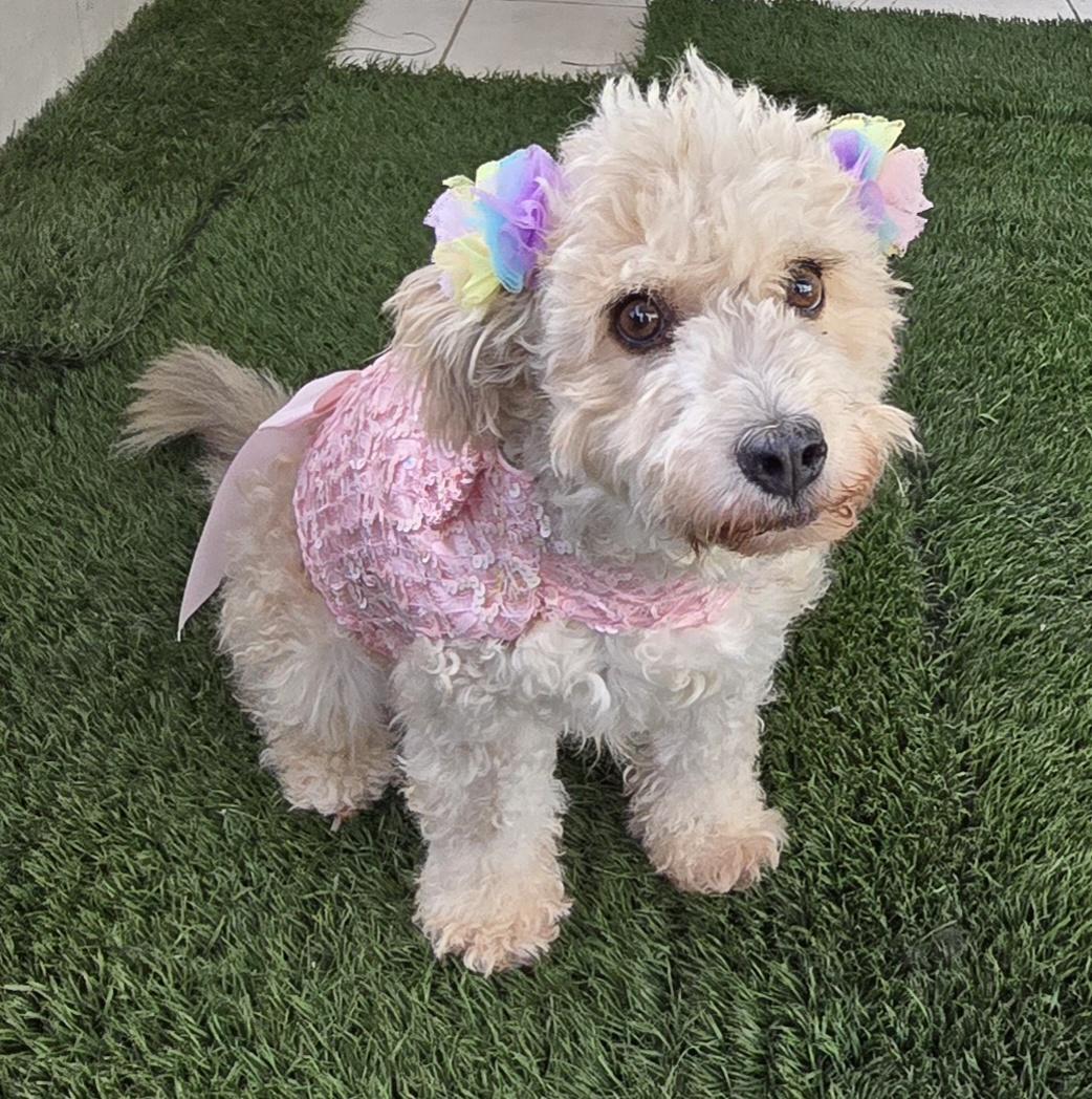 Minnie