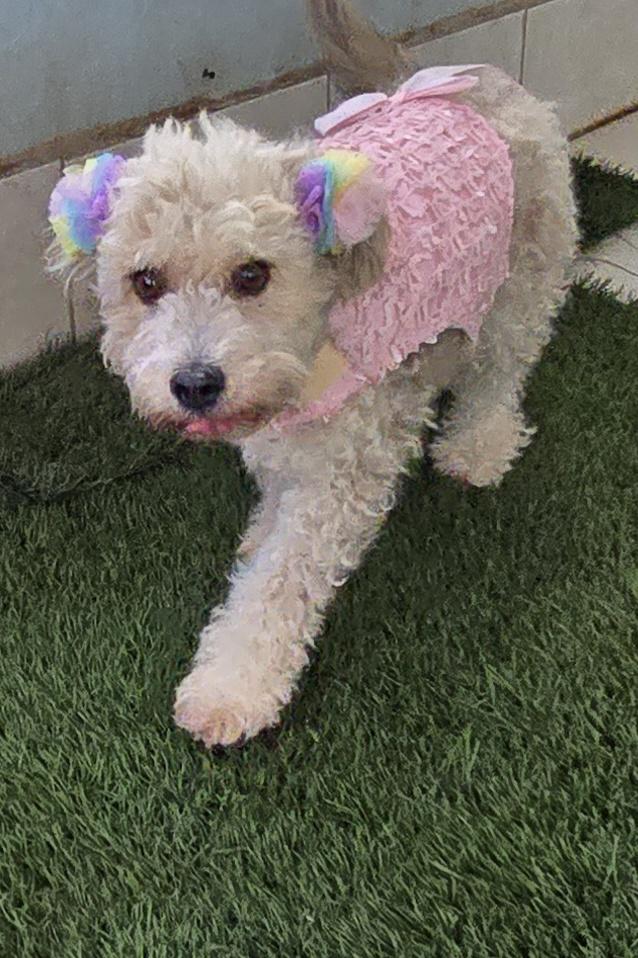 Minnie