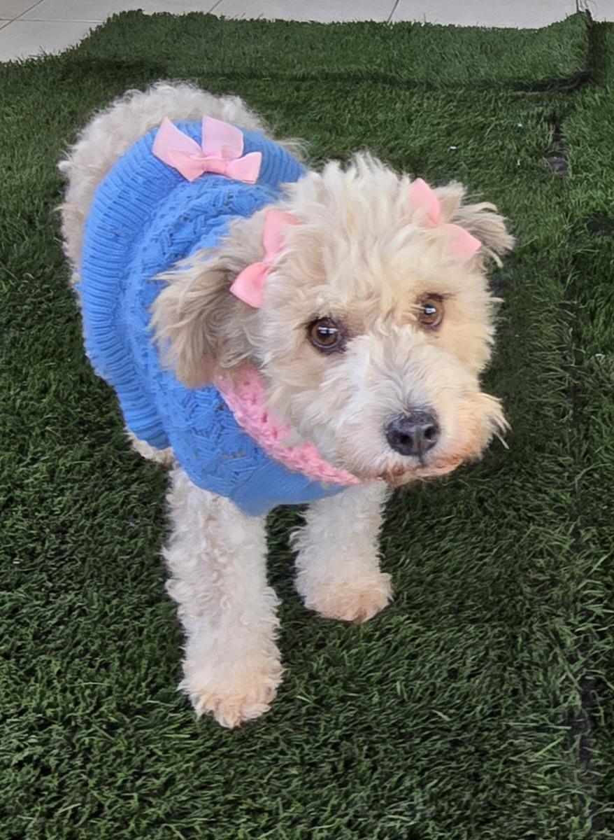 Minnie