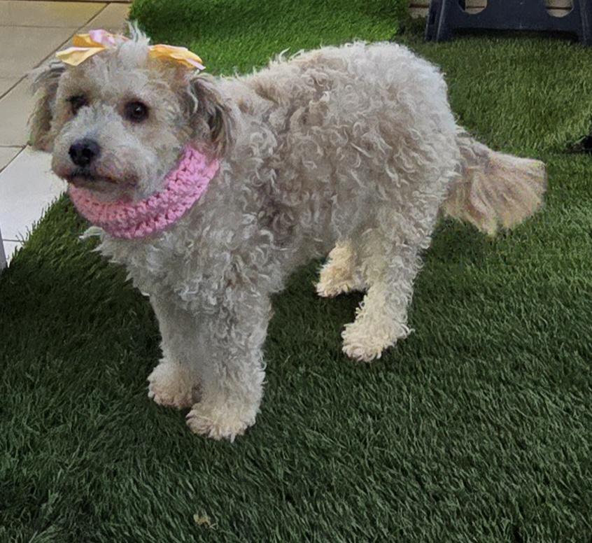 Minnie