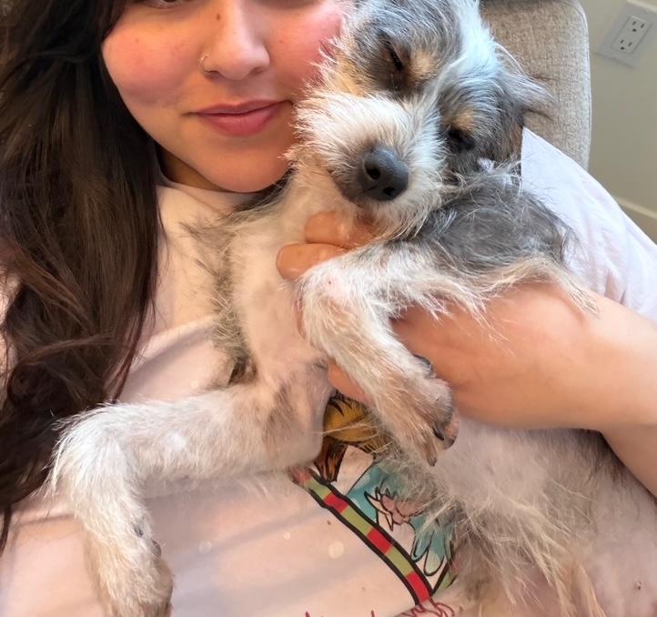 Enlarge Beth, an adopted Terrier in Brooklyn, NY image 4/5