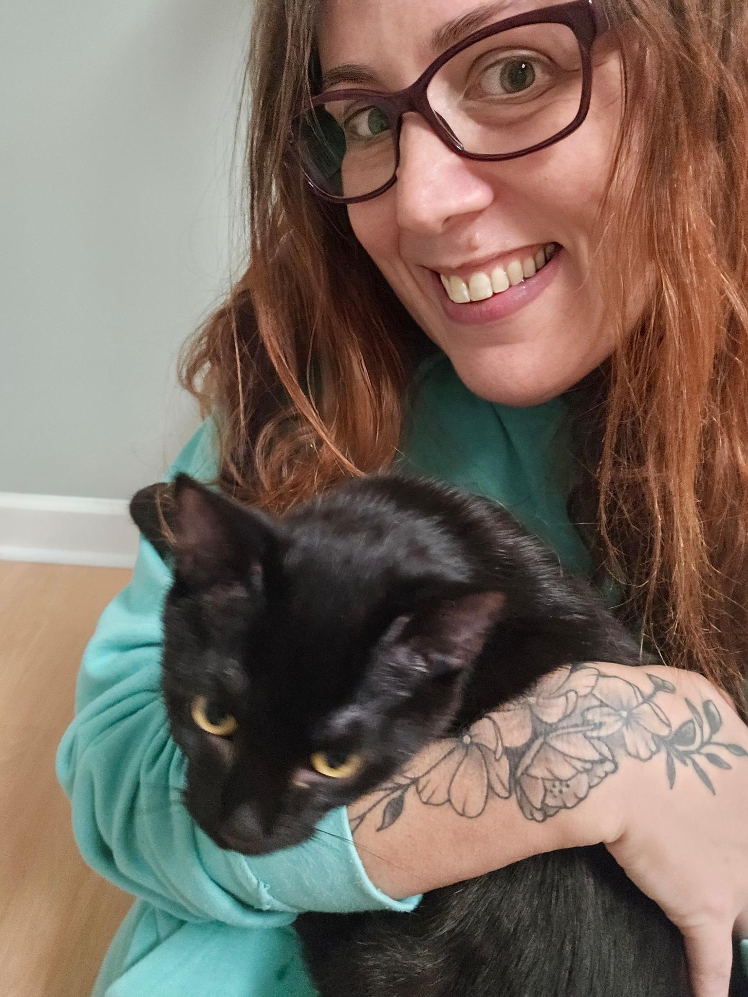 Enlarge Nutmeg and Cinnamon, an adopted Domestic Short Hair in Suffolk, VA image 2/6