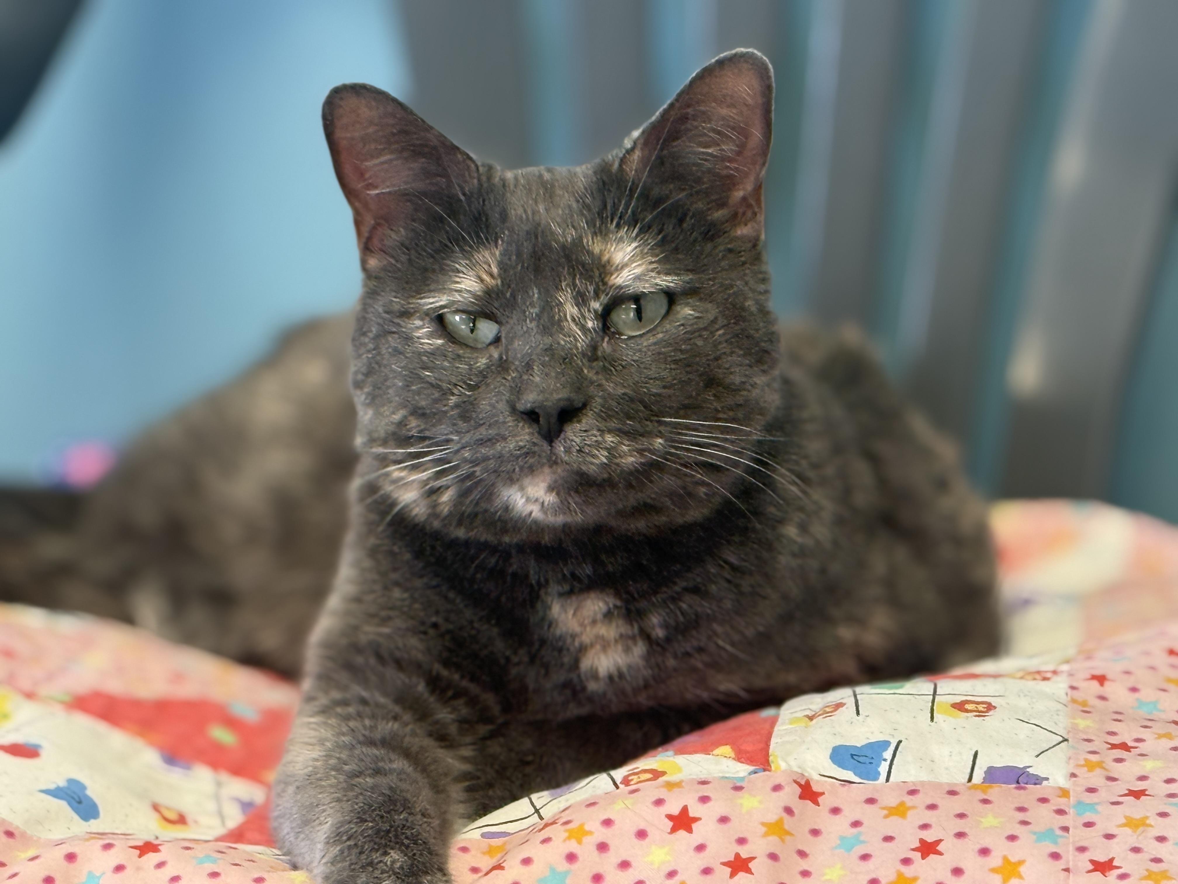 Kathleen thumbnail 2