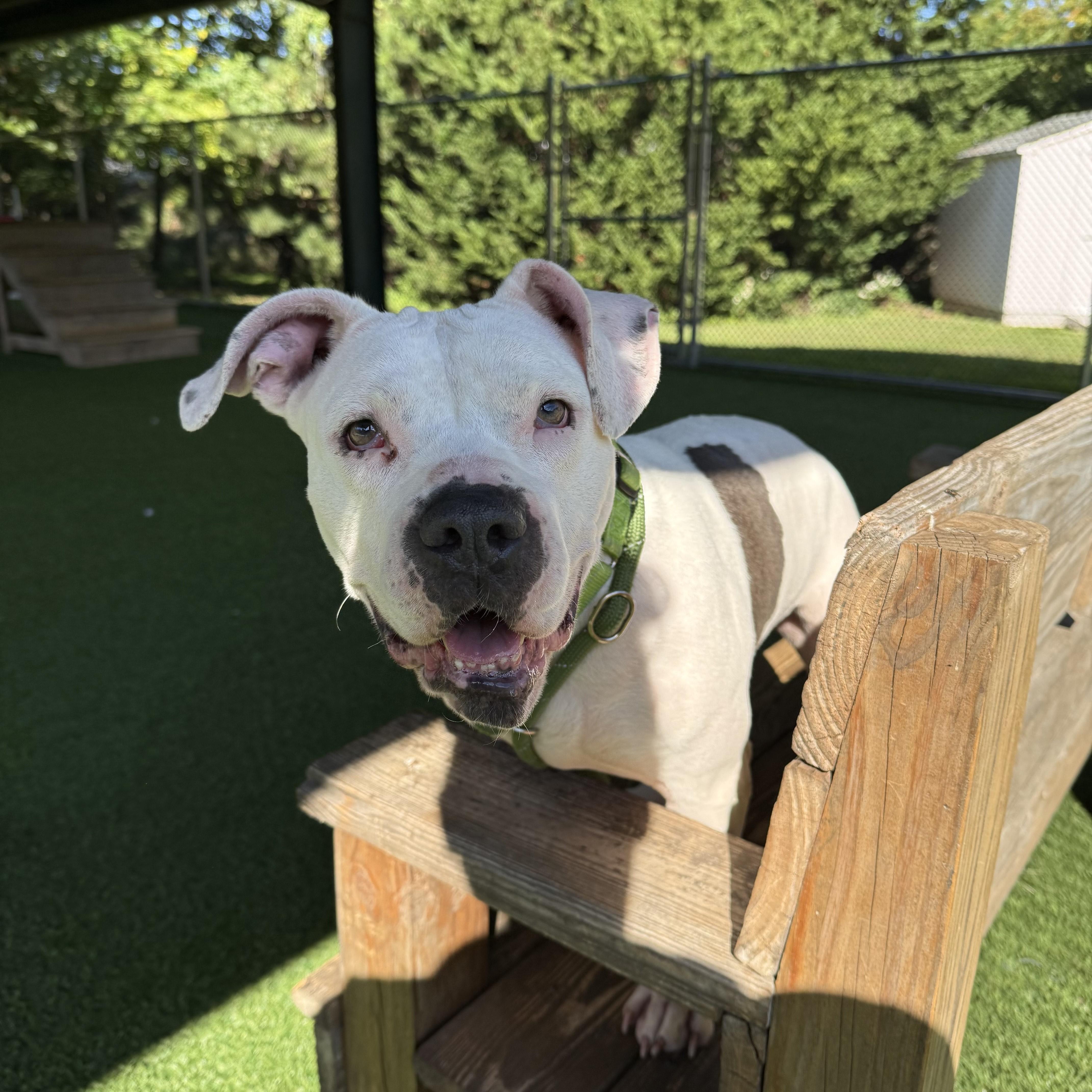 Delilah
