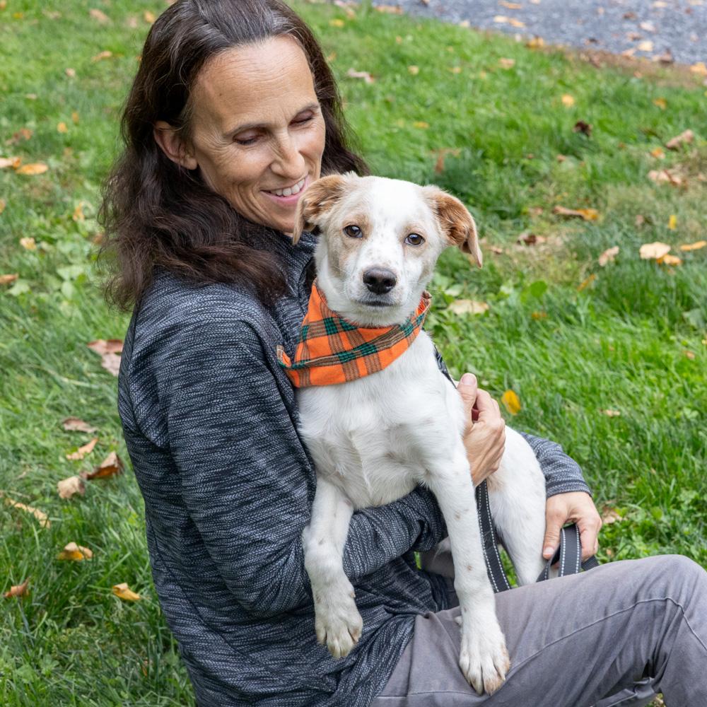Freckles (Male), a Adoptable mixed breed in West Grove, PA image 5/6